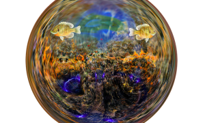 超小型水槽 濾過槽無し 小さくておしゃれ おすすめアイテム10選 Jellyfish Farm Arcadia
